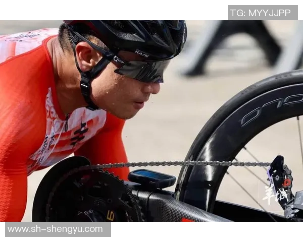 特奥精神闪耀全球展现残疾人运动员的无畏与奋斗之美